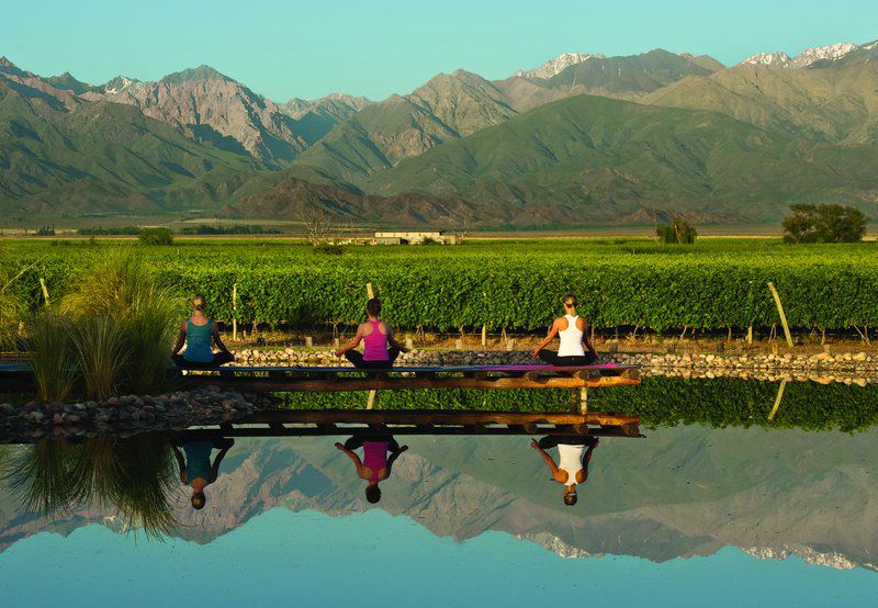 The Vines Resort & Spa Los Sauces  Dış mekan fotoğraf
