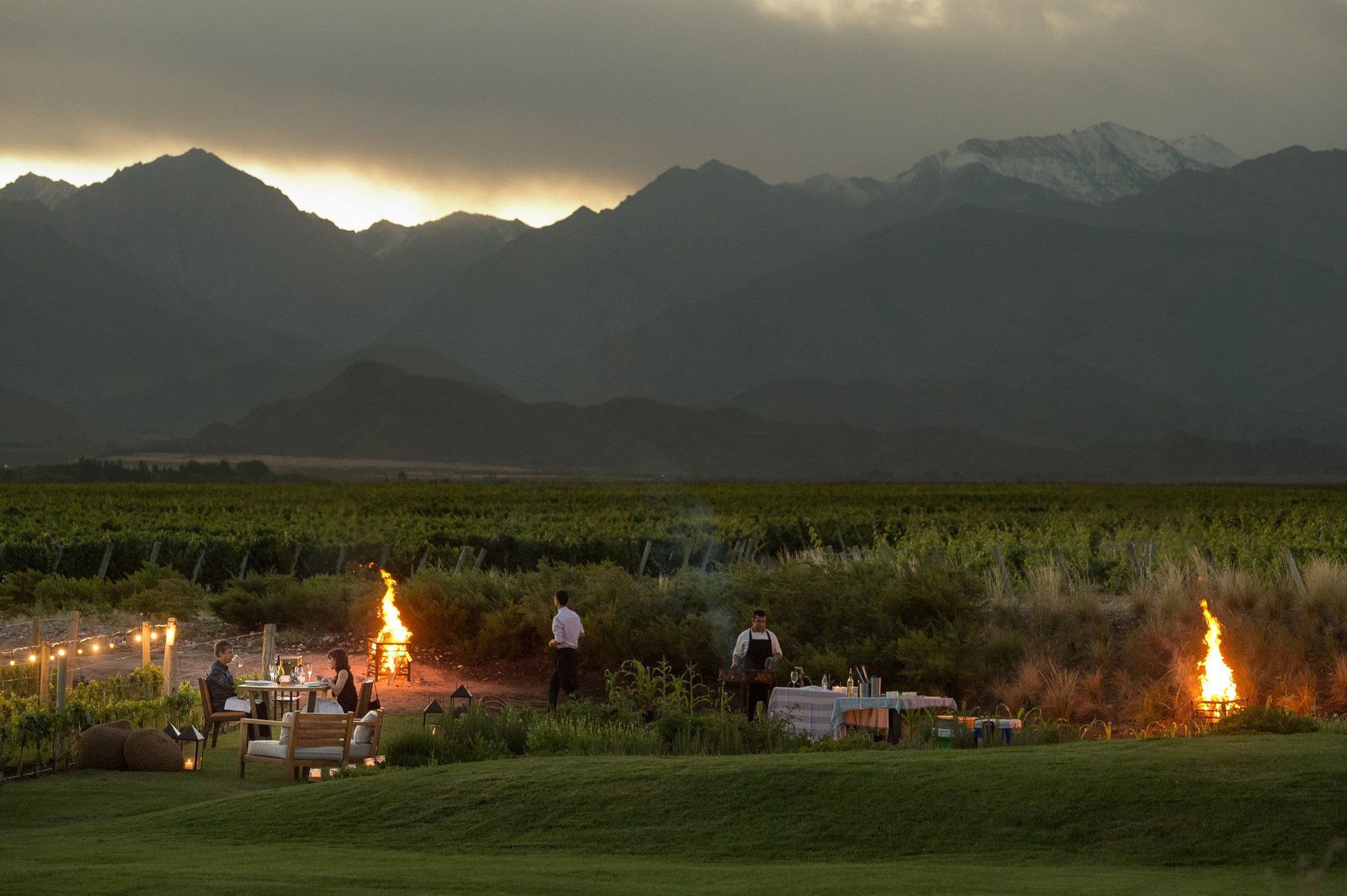 The Vines Resort & Spa Los Sauces  Olanaklar fotoğraf