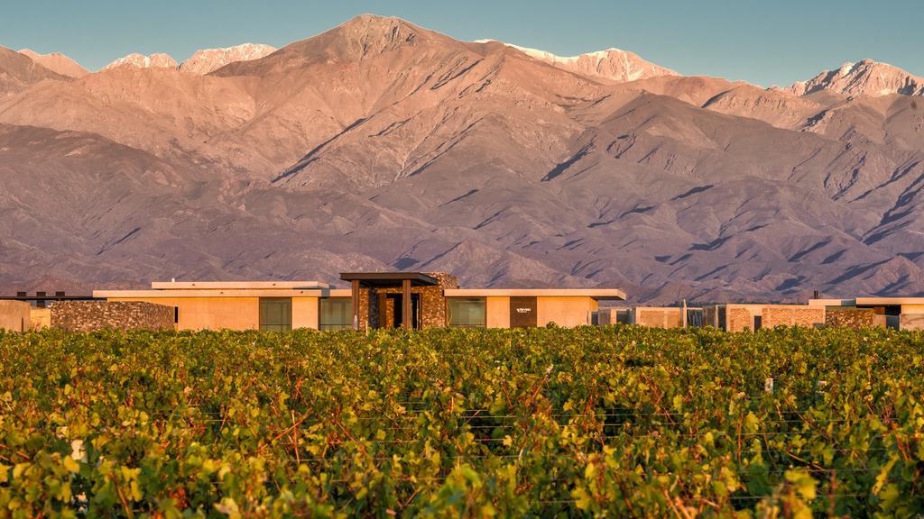 The Vines Resort & Spa Los Sauces  Dış mekan fotoğraf